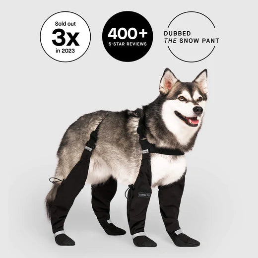 Dog Shoes Waterproof Adjustable Dog Boots Rain Day Pet Breathable Shoes for Outdoor Walking Soft Paws Protec Y8A8